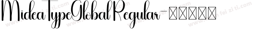 MideaTypeGlobal Regular字体转换